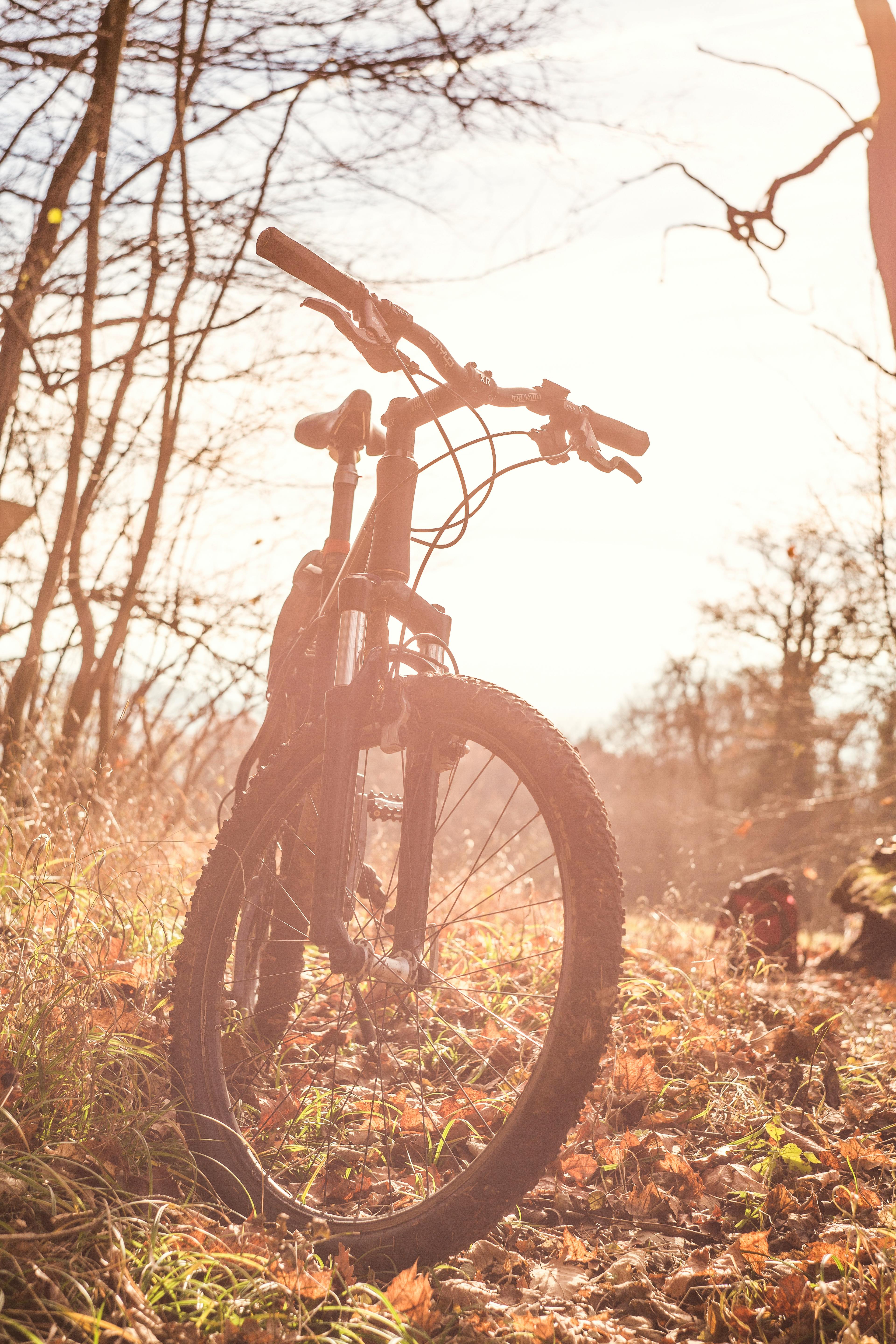 Randonnée pédestre et VTT