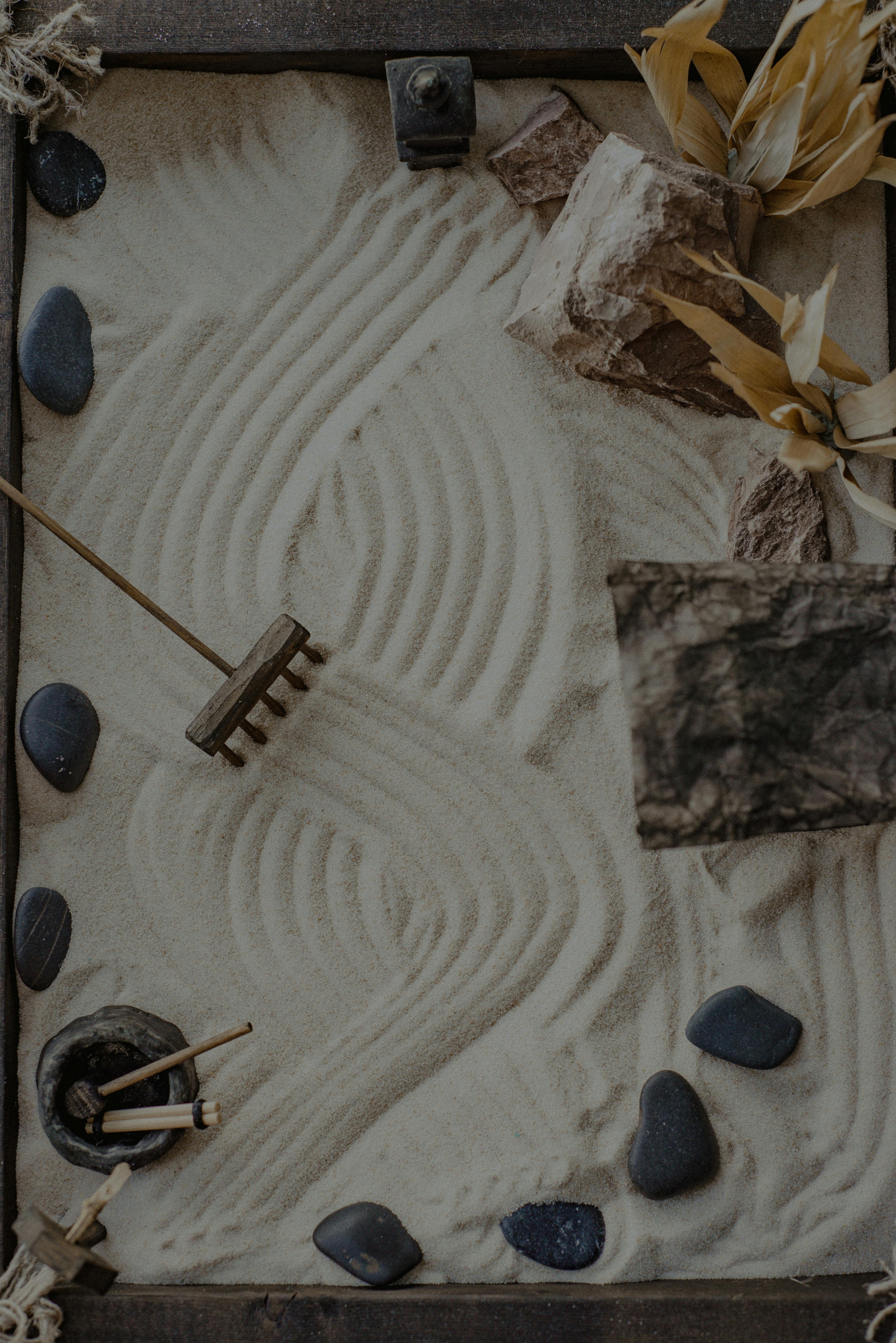 Semaine Zen - Ludobus — visuel événement
