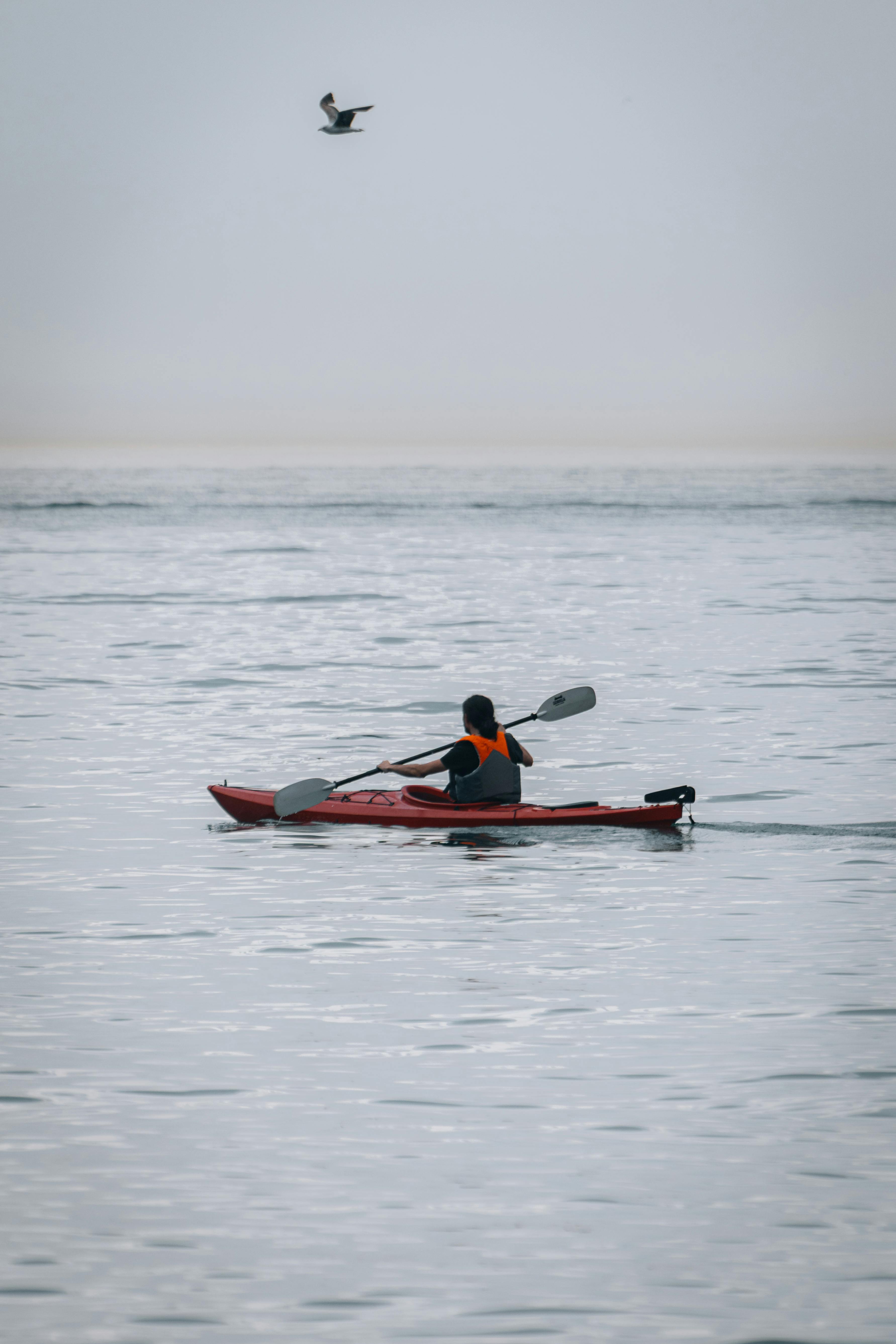 Balade en kayak de la Dune du Pilat au Banc d’Arguin