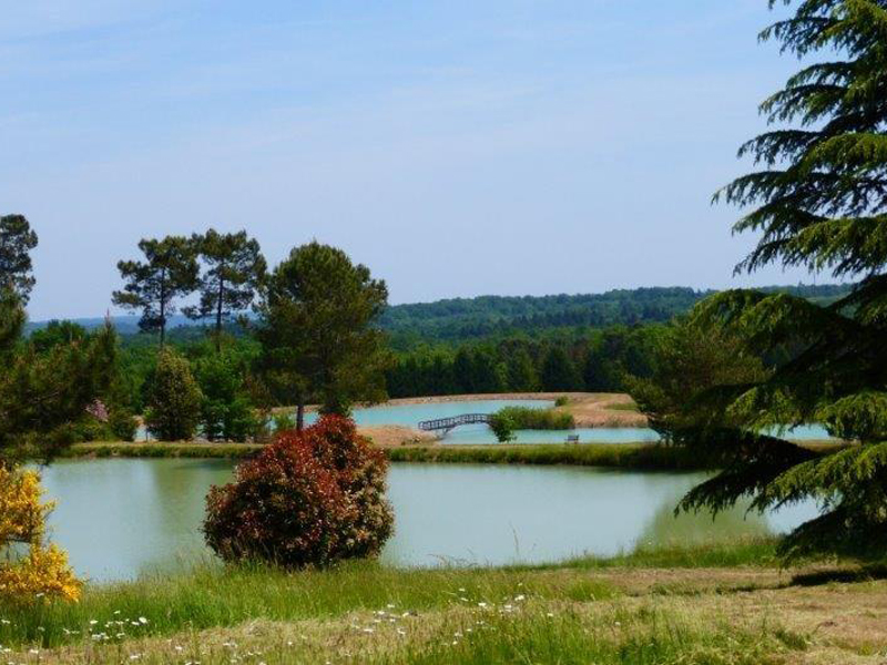 Domaine de Brissonneau : Les Albizias