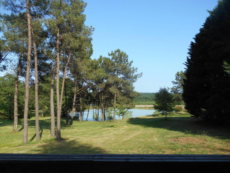 Domaine de Brissonneau : Les Palmiers - photo 4