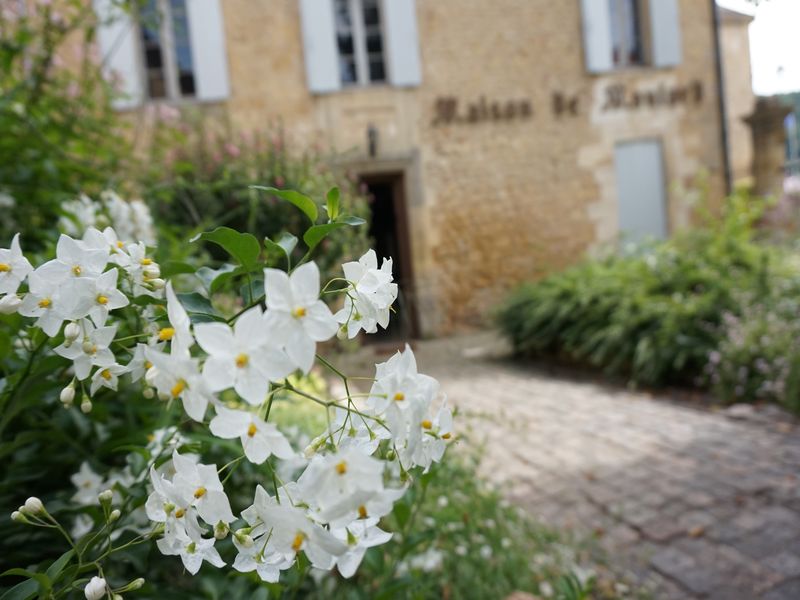 Balade patrimoine dans la bastide de Lalinde - photo 3