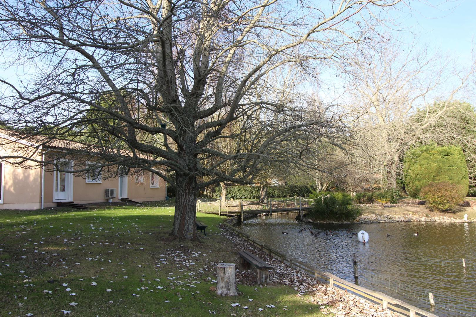 Madame Marie-Thérèse ANDRON