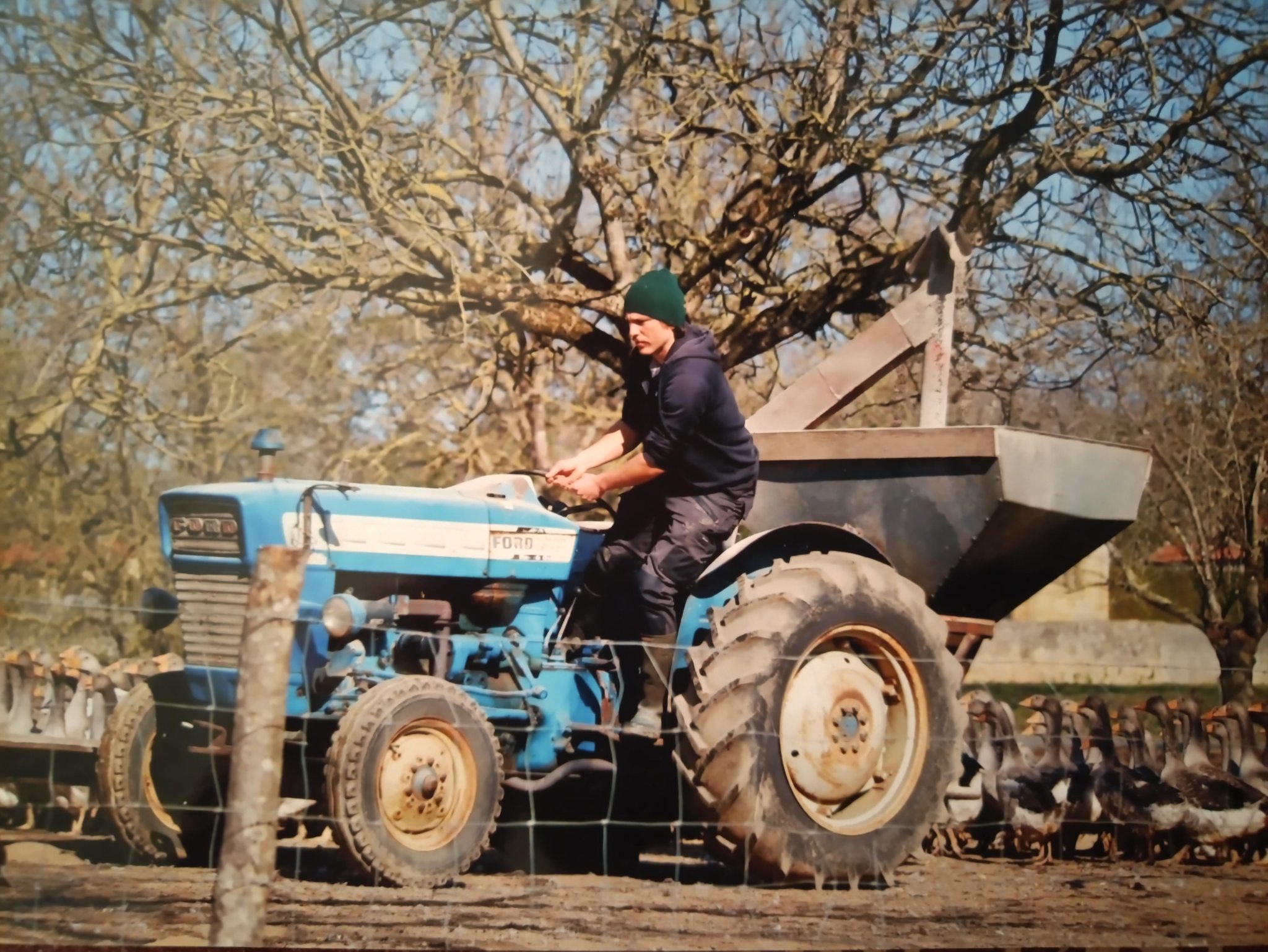 Elevage d'oies des Granges - photo 2