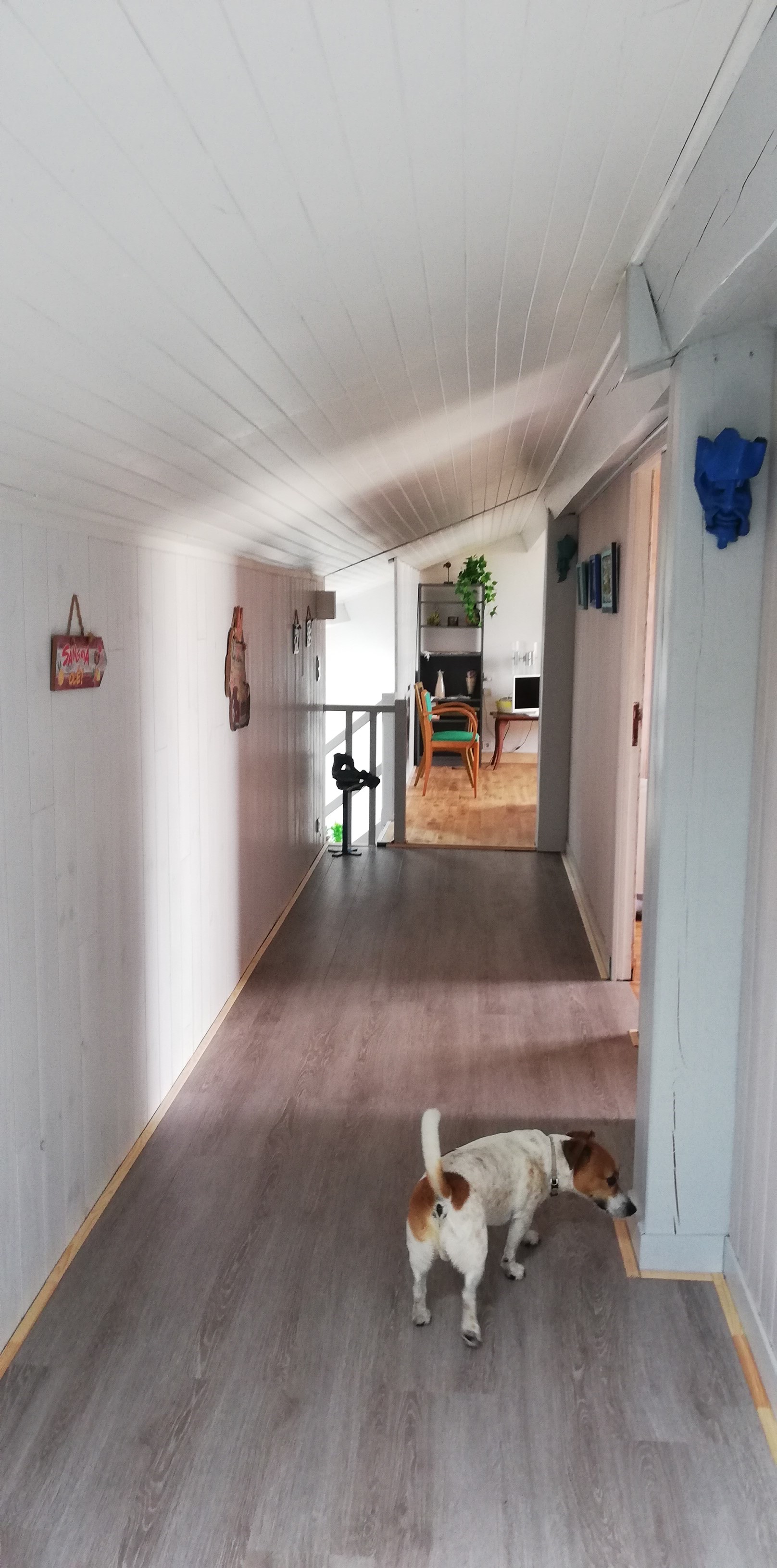 SCI MERET OCEAN - photo 2