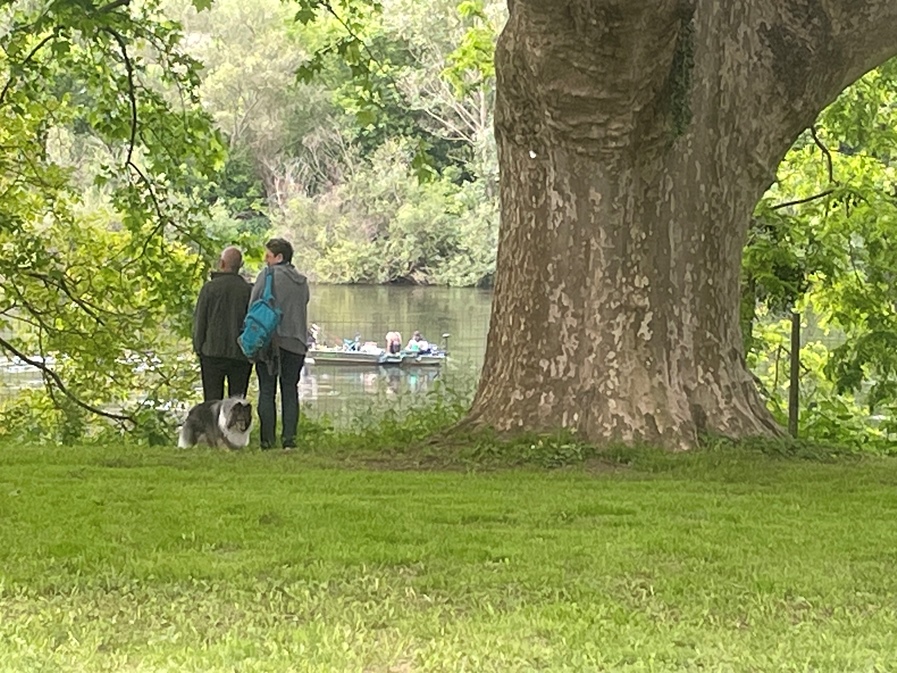 Camping Parc Servois, Gardonne - photo 13