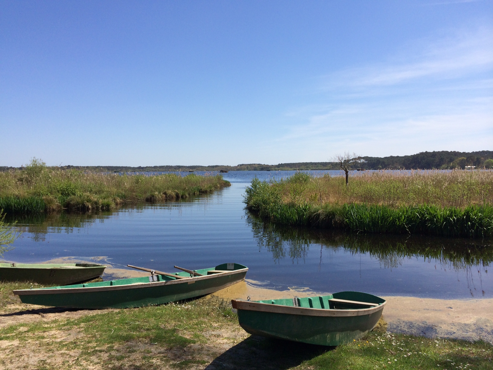 Pêche sur l'Etang Blanc