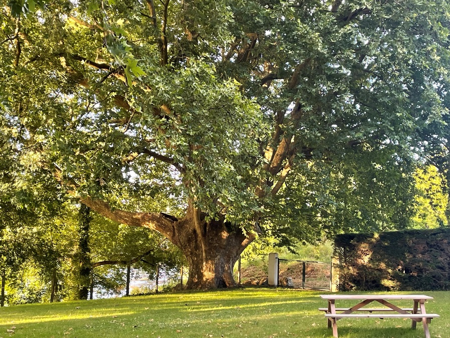 Camping Parc Servois, Gardonne - photo 9