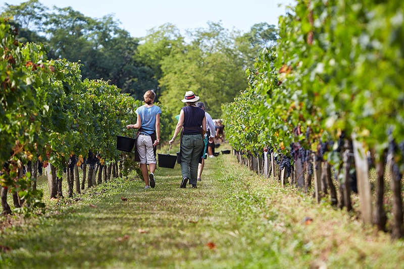 Château Roquefort - photo 4