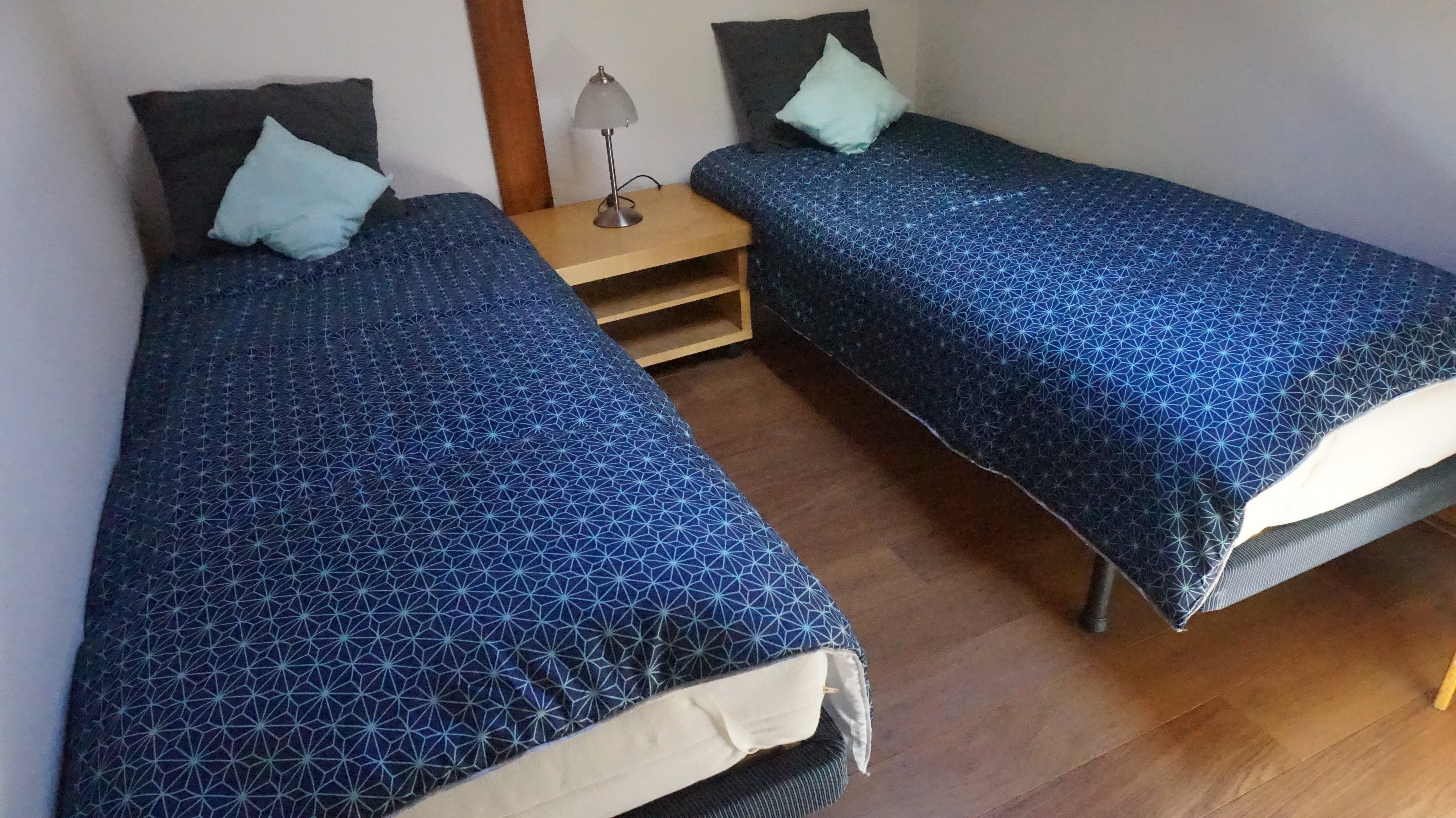 Gillet Carole, Saint-Julien-en-Born