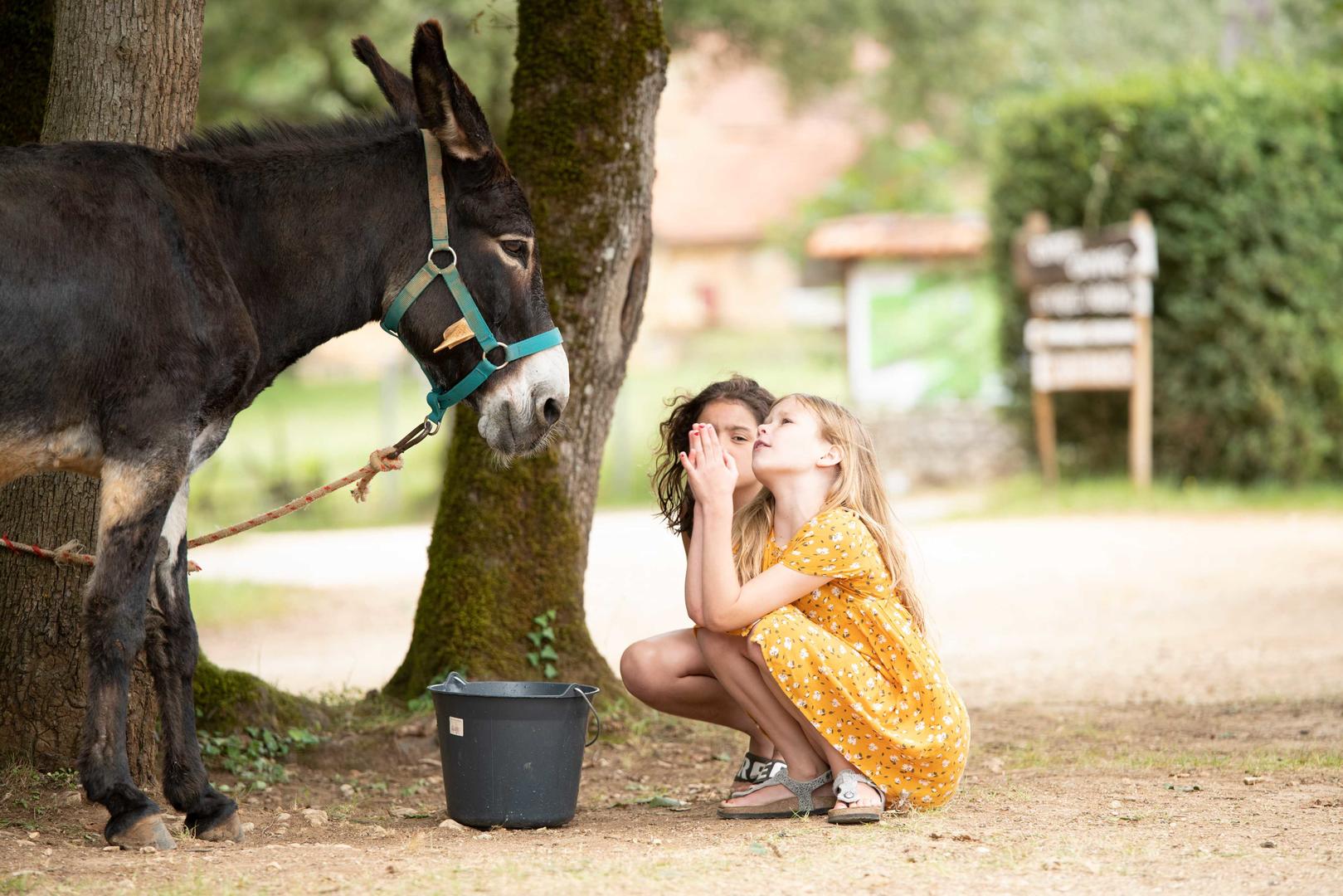 Camping Le Pech Charmant - photo 5