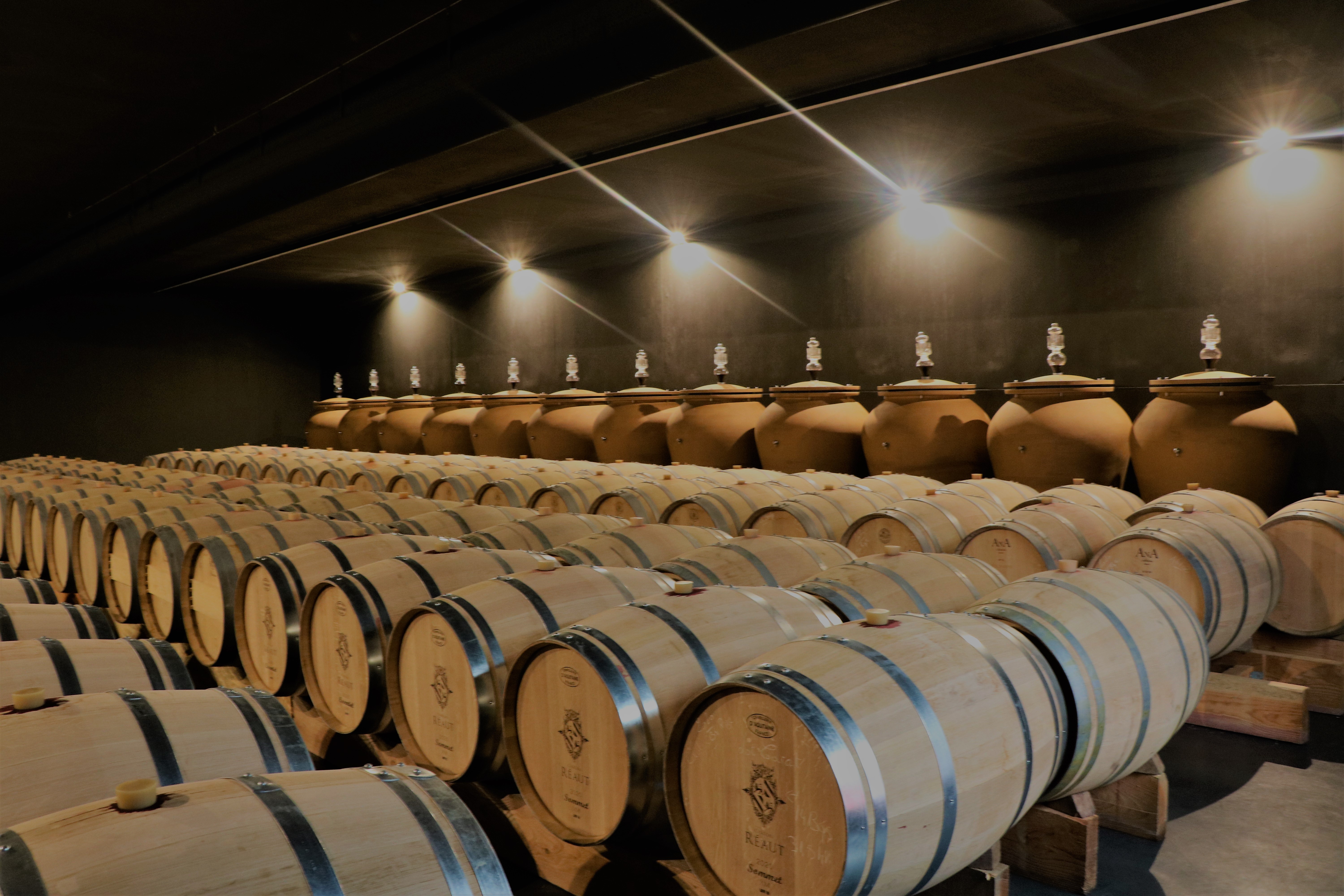 Château Réaut - photo 5