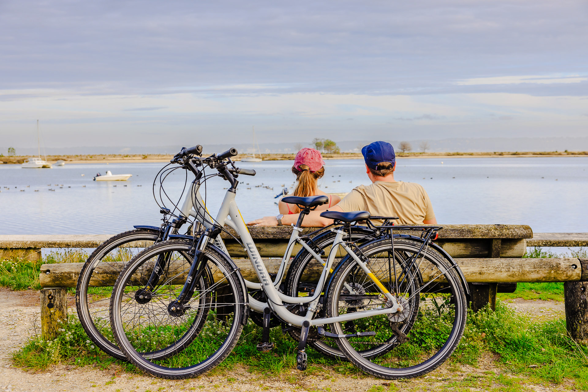 Les Vélos du Bassin - Forestière — photo 2
