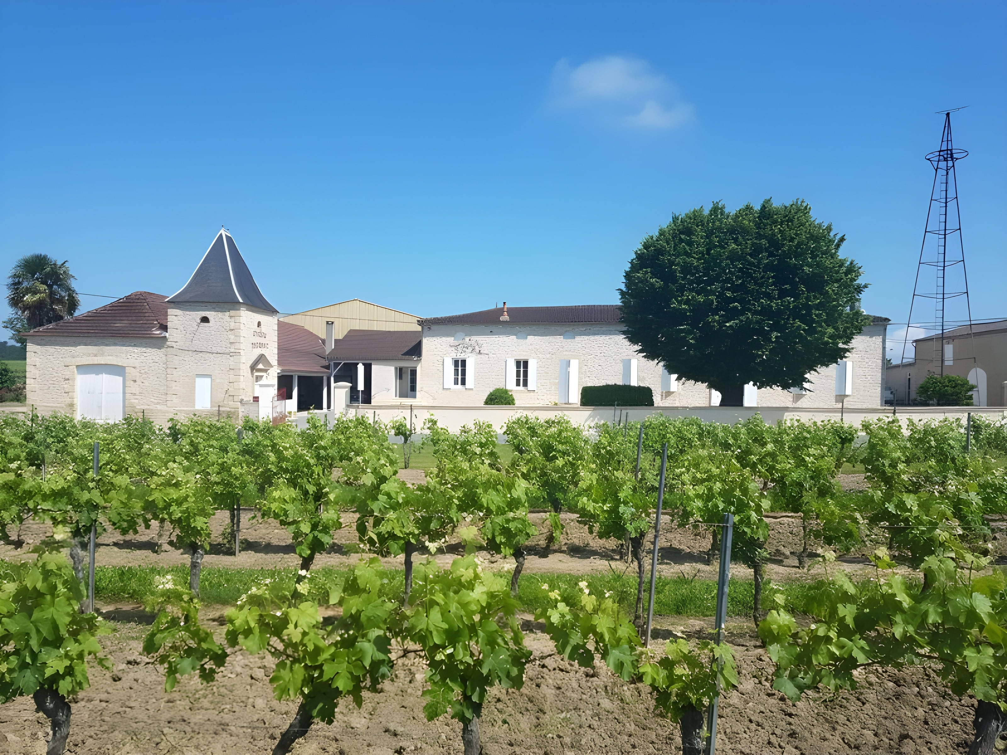 Château Piconat EARL COMIN GUICHENEY - photo 4