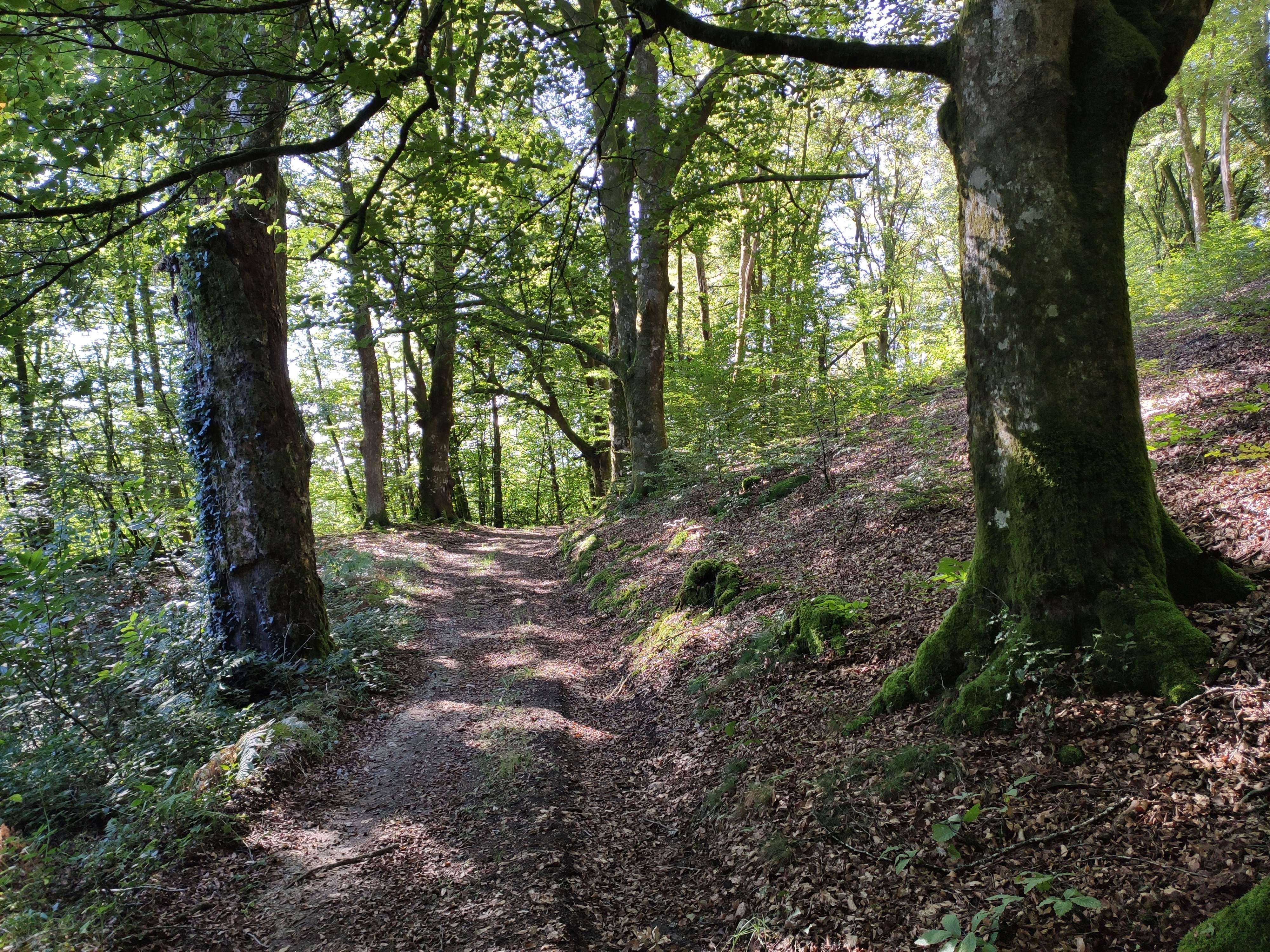 Circuit des trois églises, Sainte-Anne-Saint-Priest - photo 6