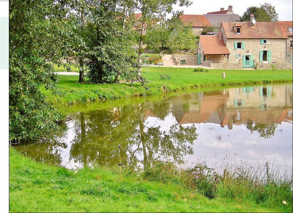 La Rainette