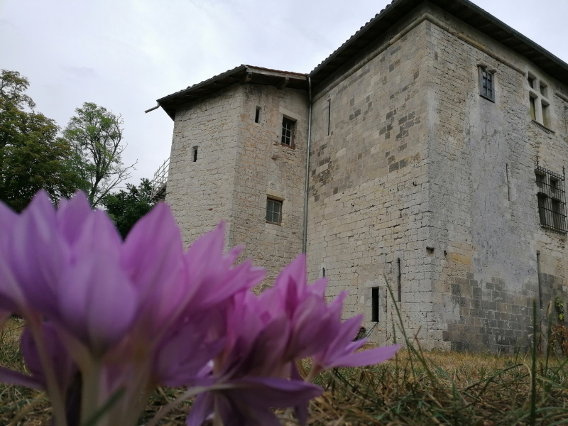 Prieuré de Lagrange, Durance - photo 2