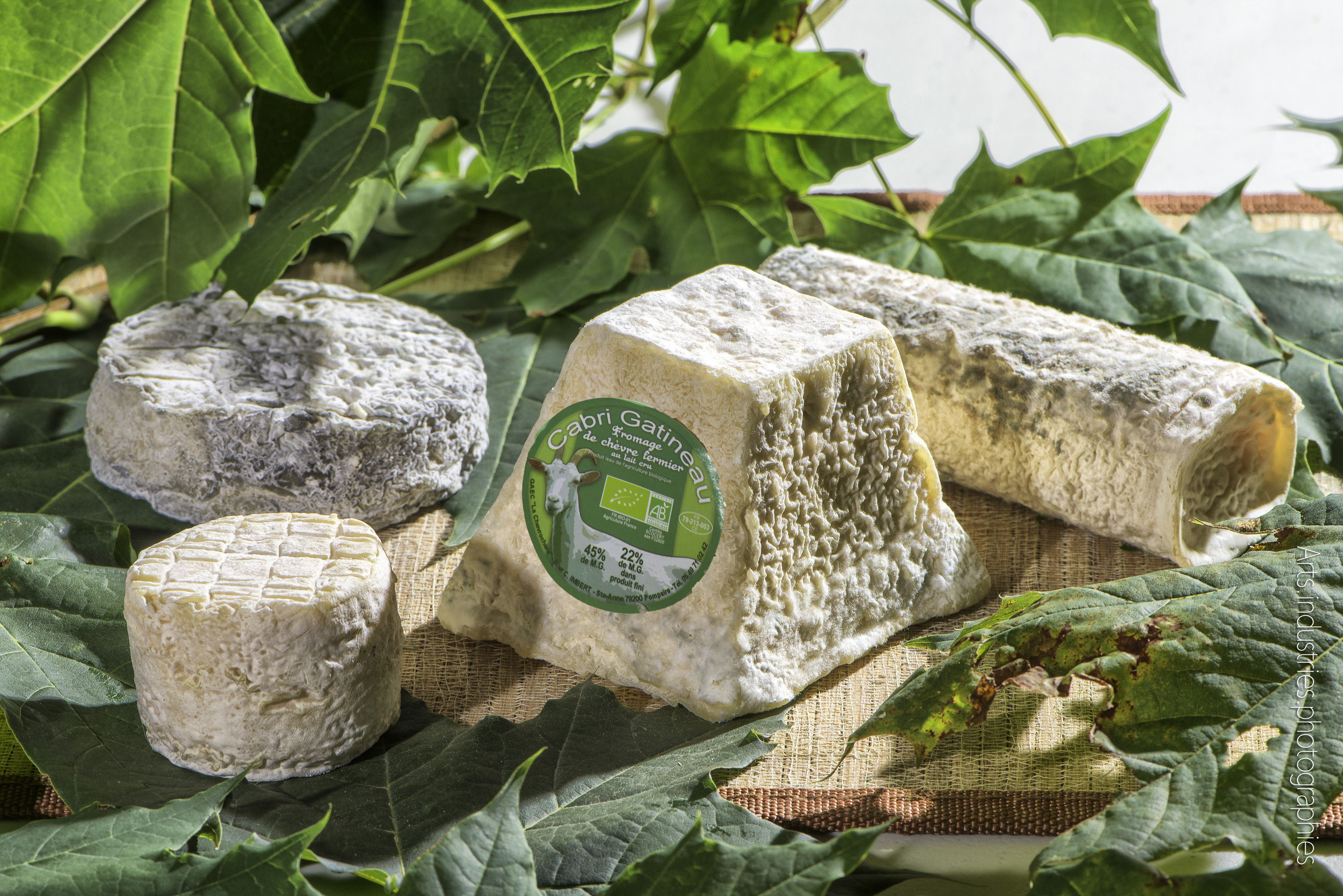 Gîte "La Cabrette", Pompaire - photo 14