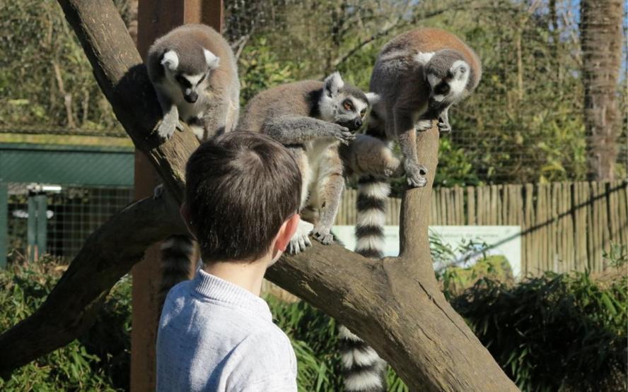 Image de présentation du lieu