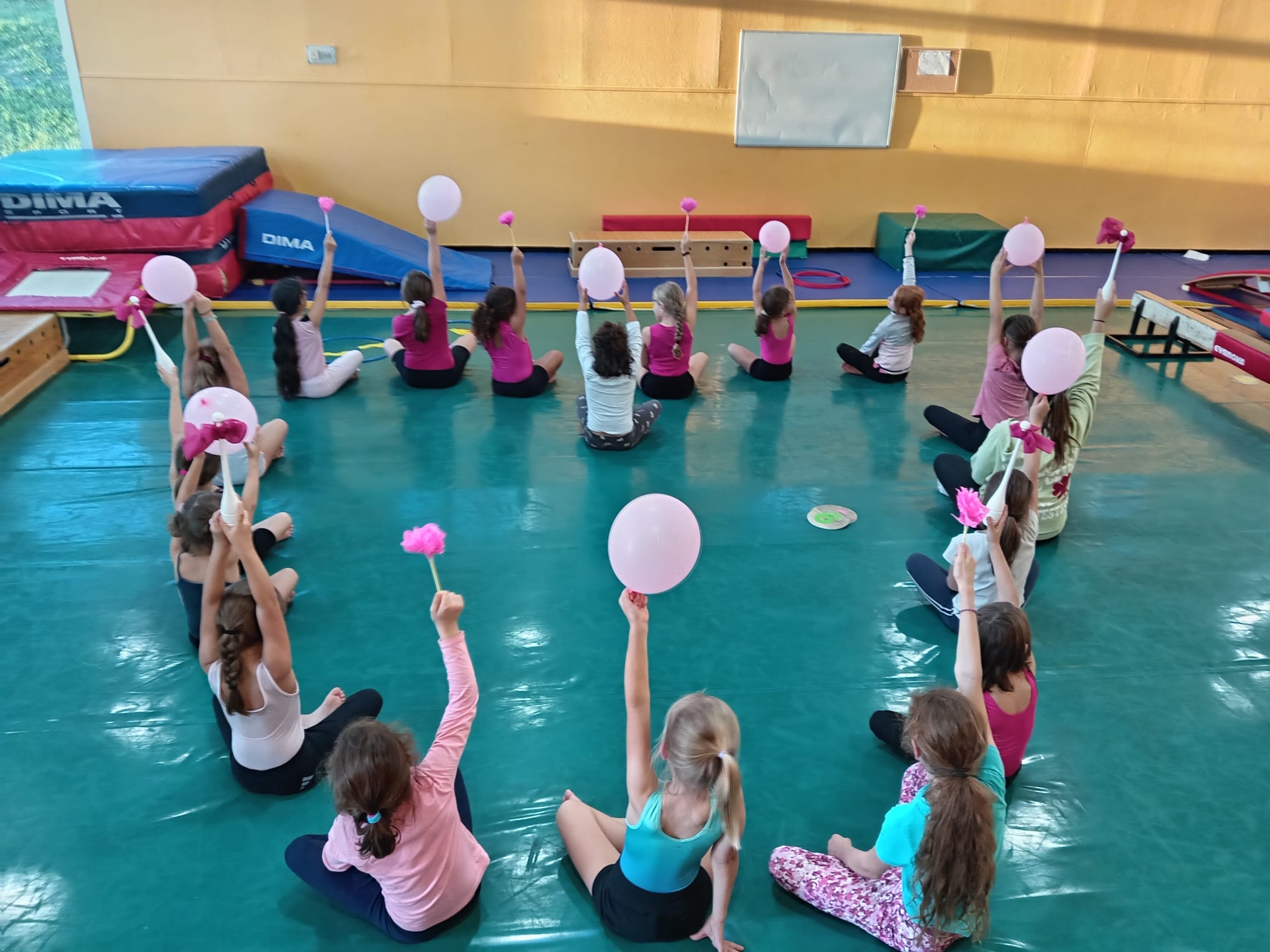 Gala du club gymnique 87