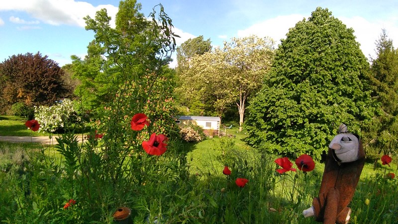 Graines de Nature - La roulotte, vagabonder sous le tilleul - photo 5