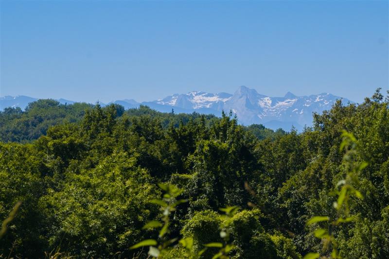 Arbus - Les coteaux du bois de bas