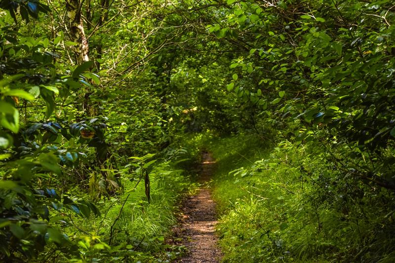 Rontignon - Sentier des Crêtes