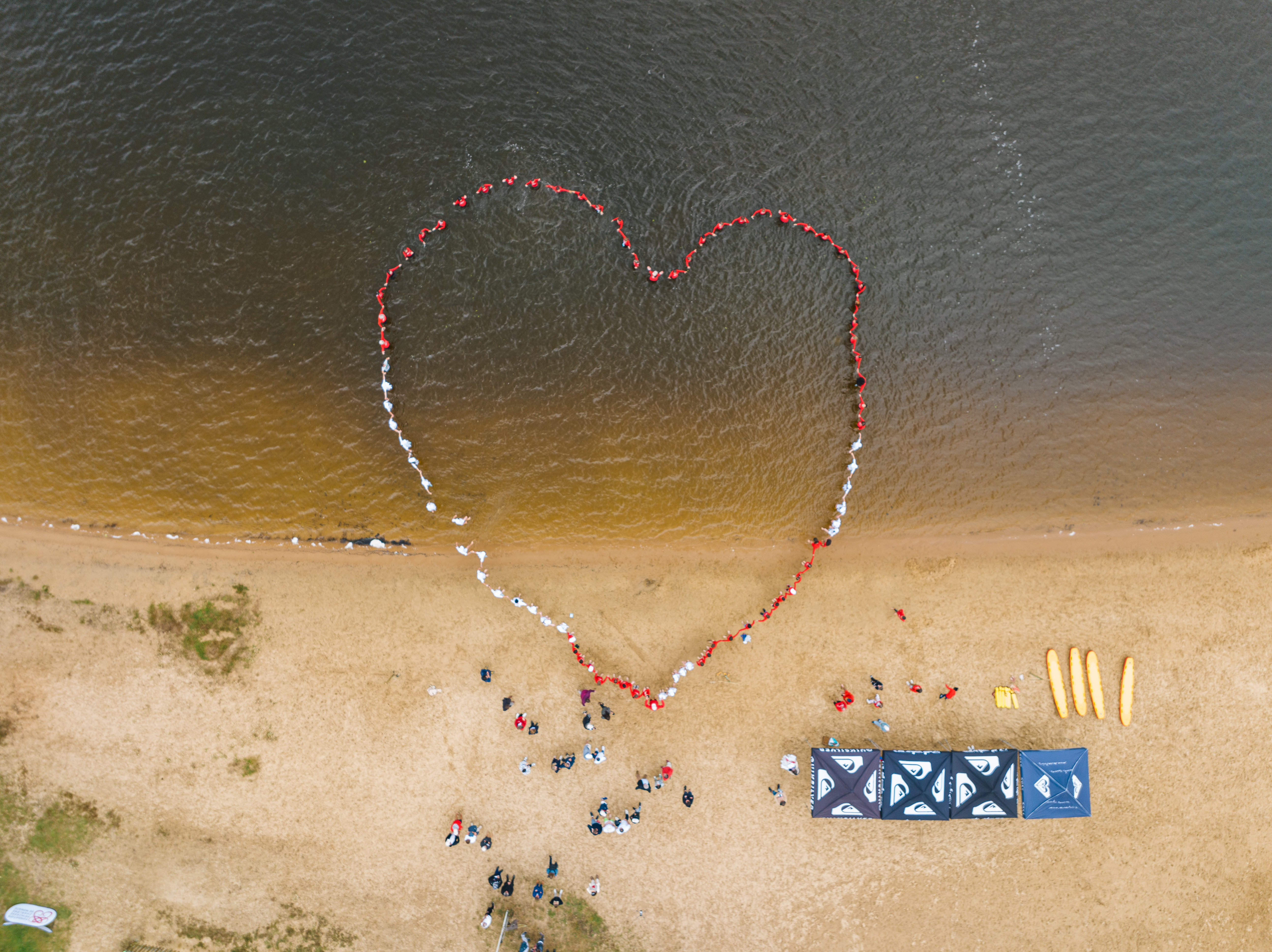 La Forêt Paloma - photo 5