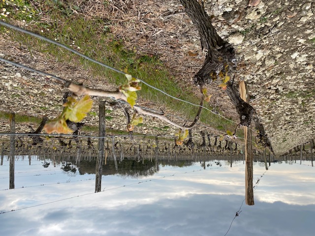 Domaine de la Rôtisserie