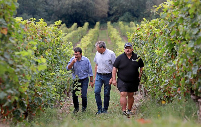 Visite de la Cave des Vignerons de Tursan — visuel événement