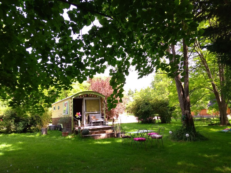 Graines de Nature - La roulotte, vagabonder sous le tilleul - photo 4