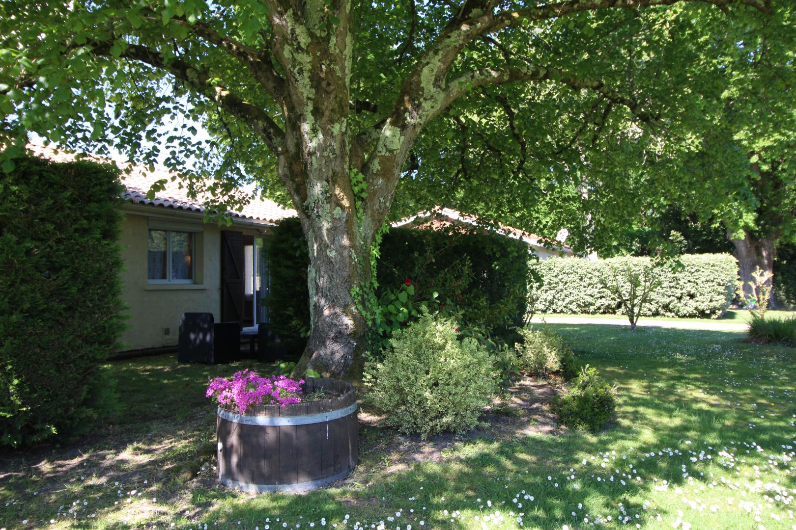 Gîte de la Grange, Vensac - photo 10