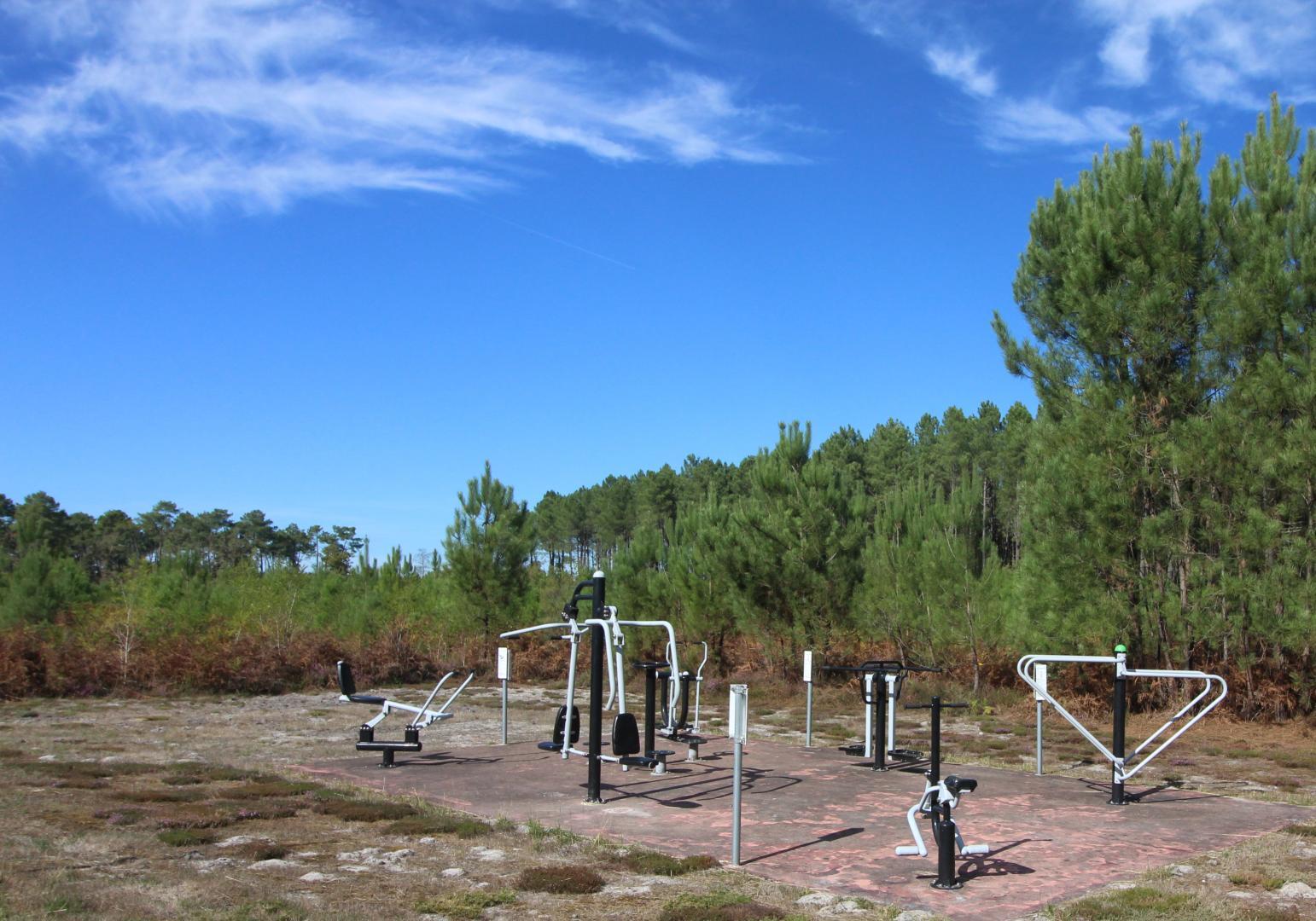 Gîte forestier n°2 - photo 5