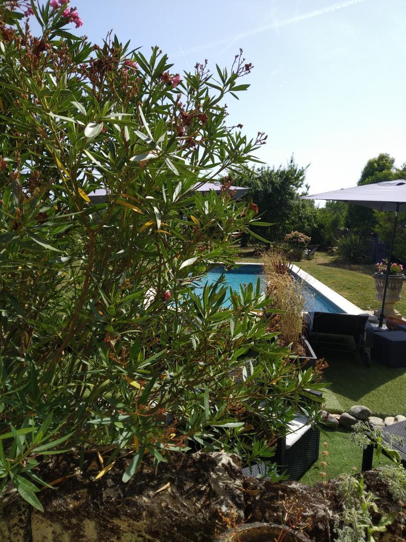 La Suite du Presbytère, Puisseguin - photo 14