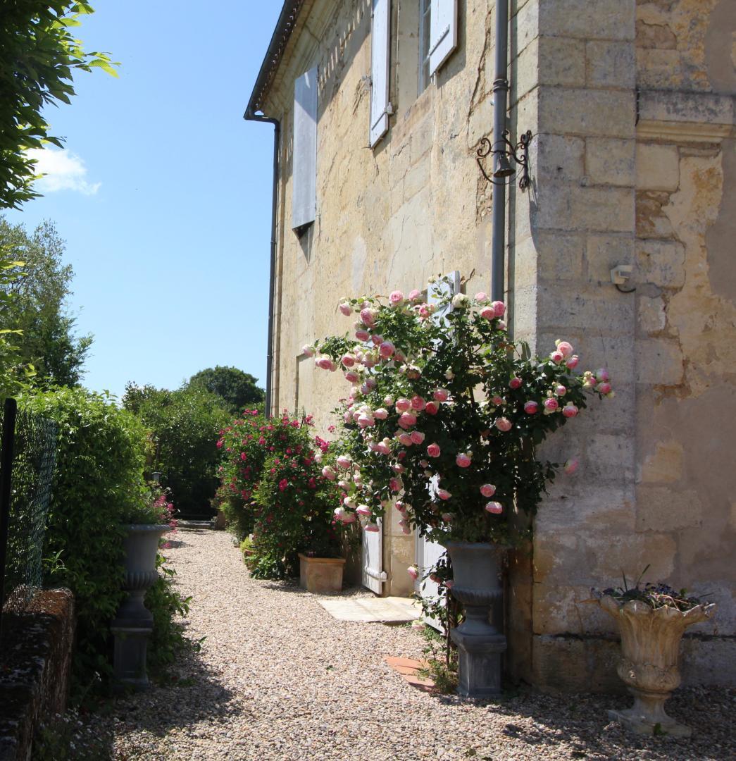 La Suite du Presbytère, Puisseguin - photo 16