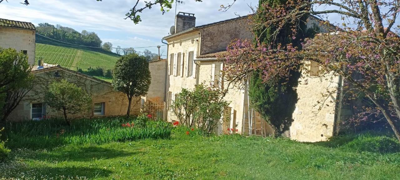 La Maison des Collines, Saint-Michel-de-Fronsac - photo 21