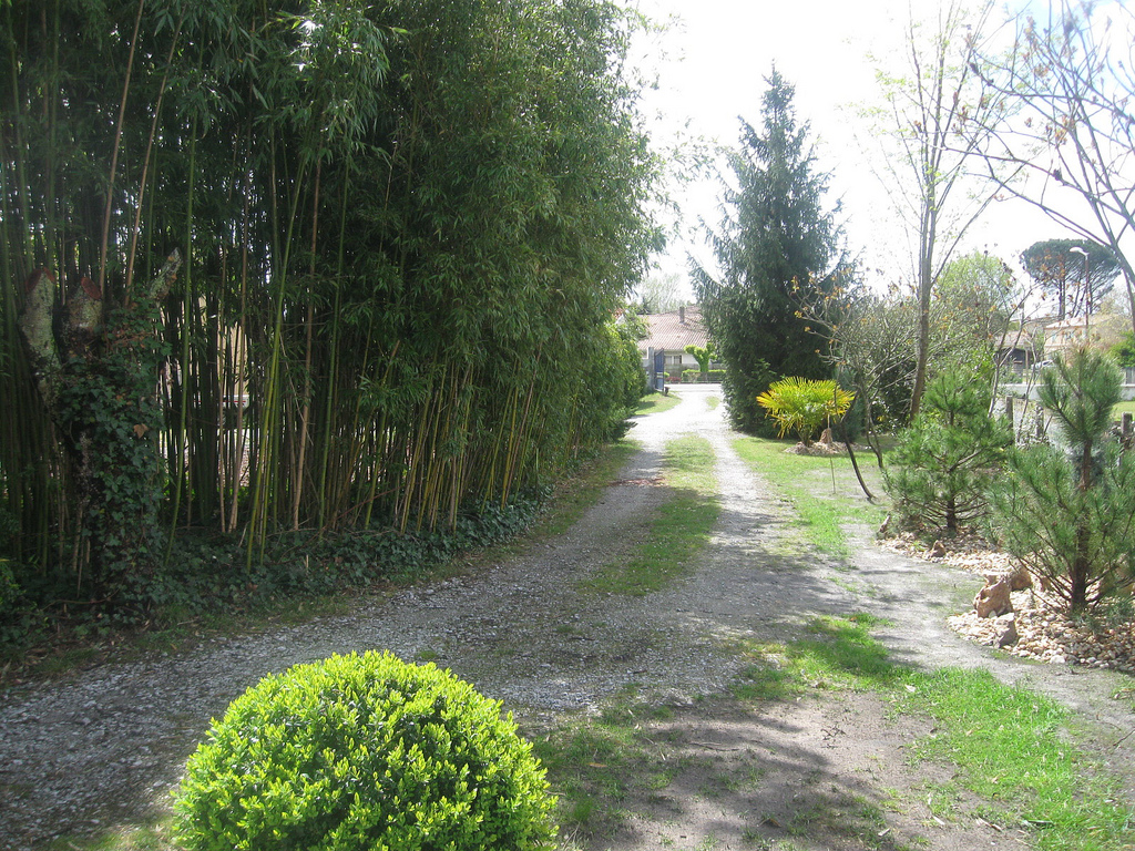 Gîte La Bastide de Salles, Salles - photo 12