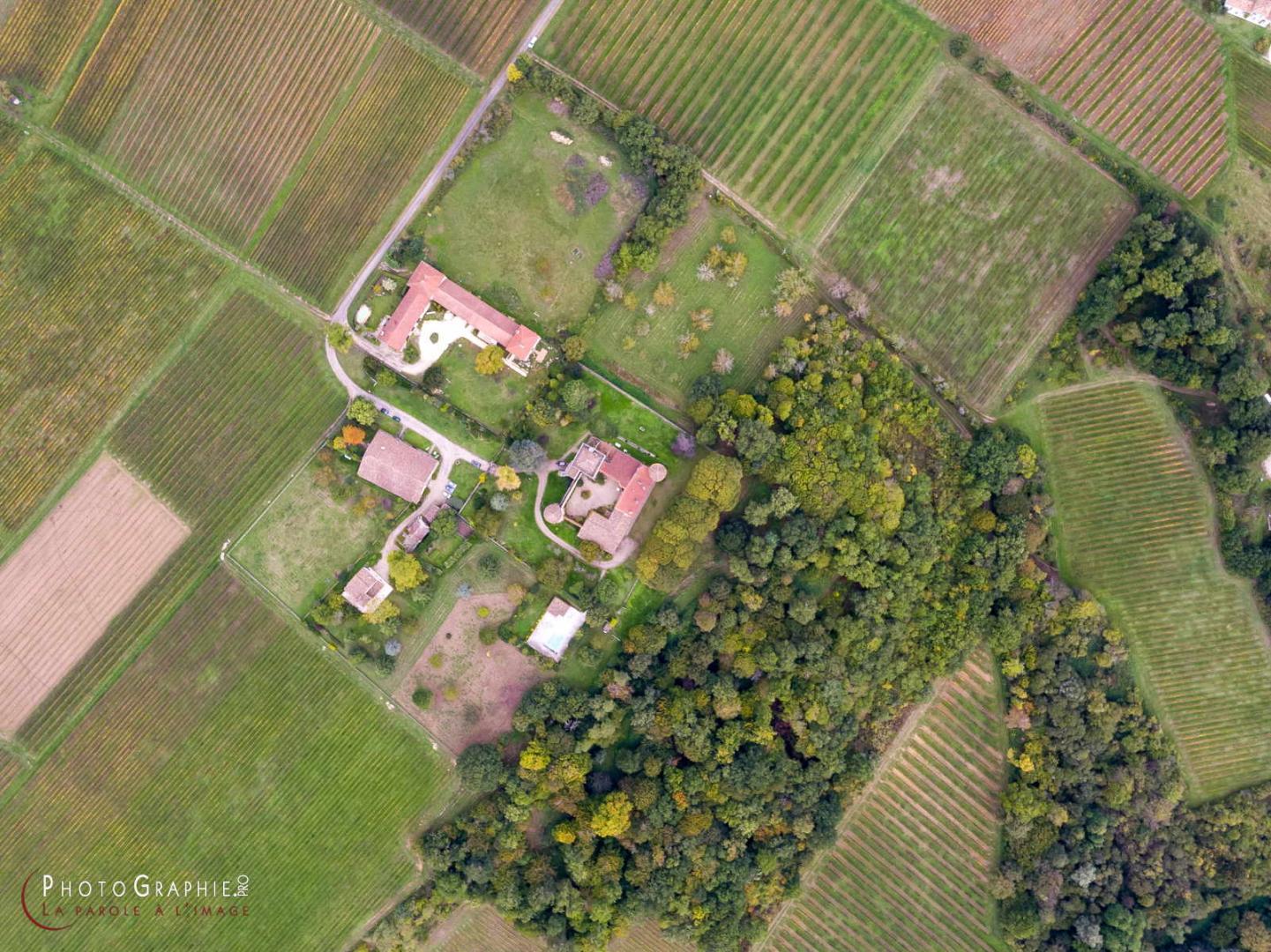 Le Logis du Vieux Château, Génissac - photo 16