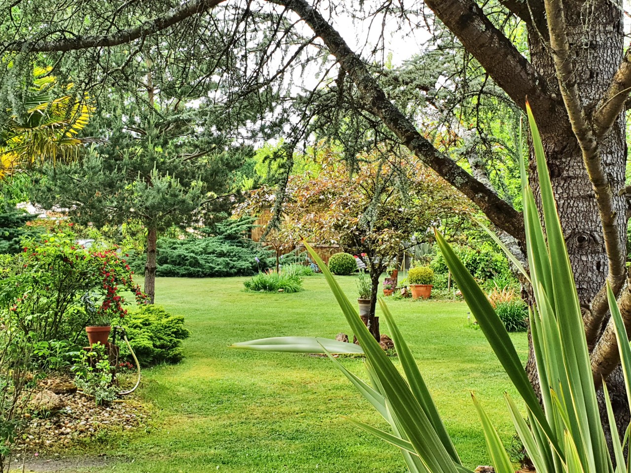 Gîte La Bastide de Salles, Salles - photo 7