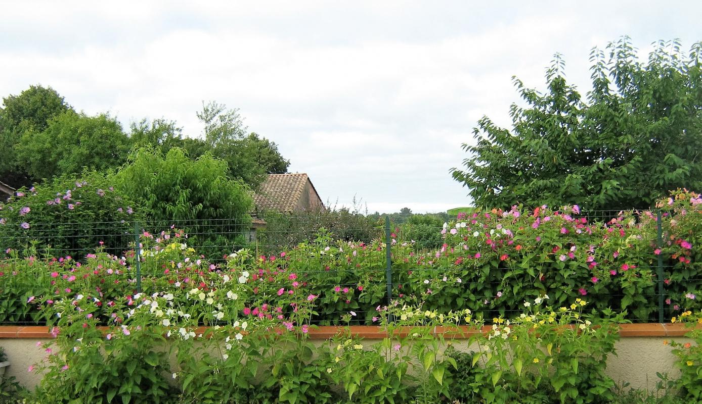 La Halte de Segondignac, Saint-Germain-d'Esteuil - photo 8