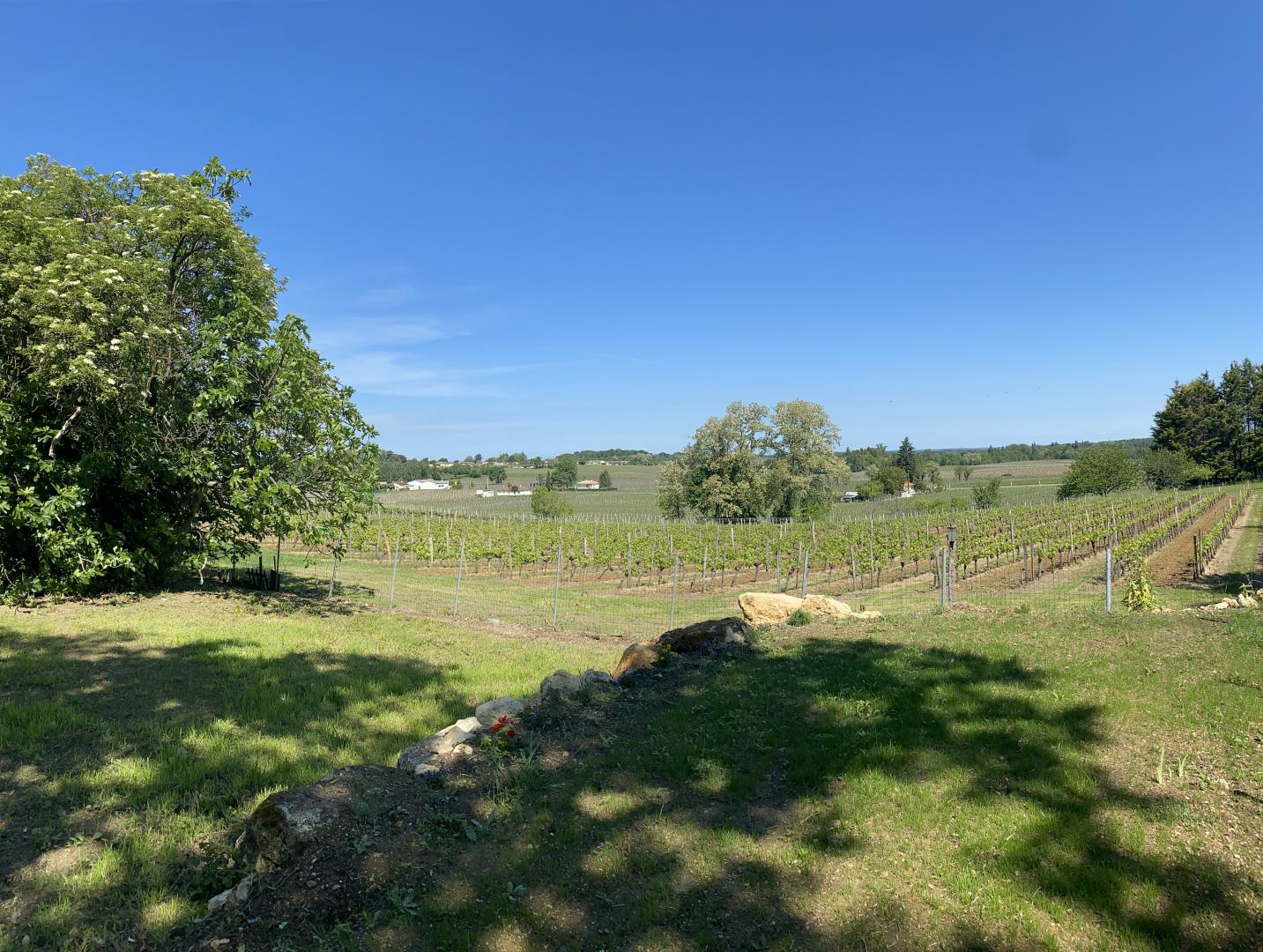 La Villa d'Isa, Lussac - photo 9