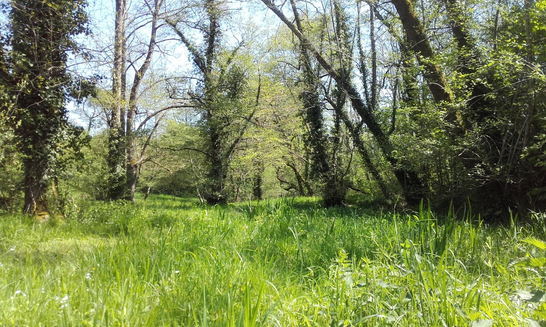 Gîte du Château Ysard, Camblanes-et-Meynac - photo 13