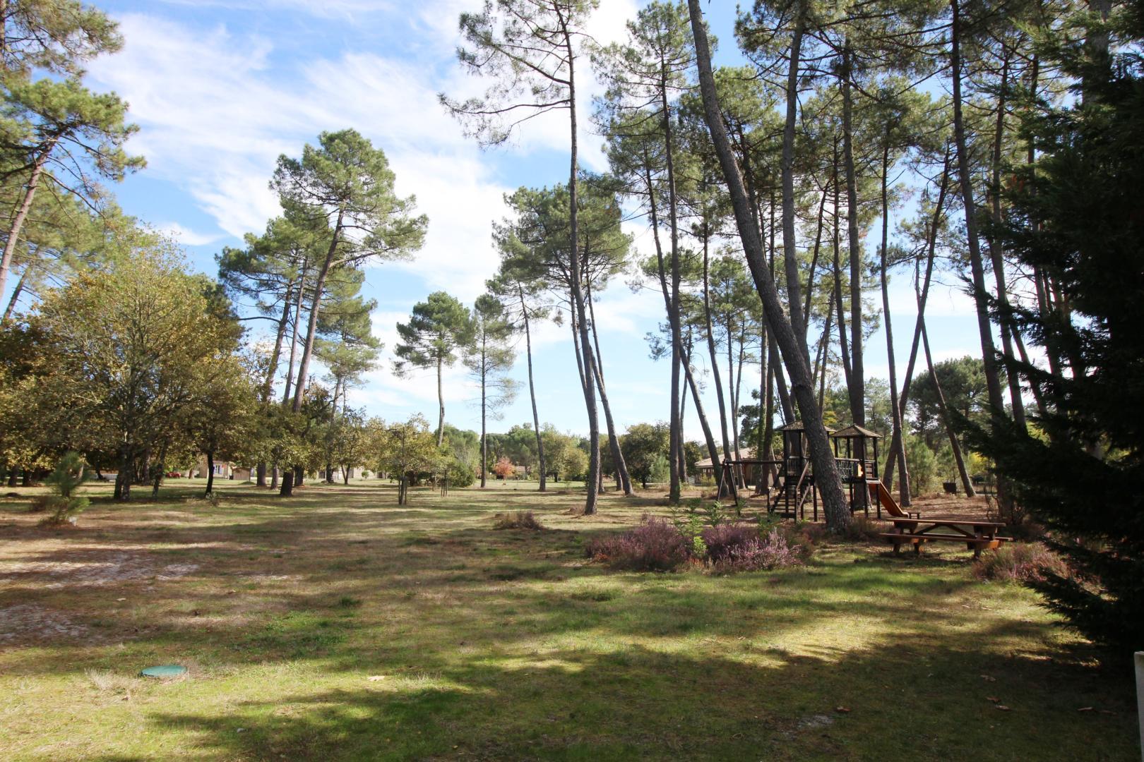 Gîte forestier n°2, Bourideys - photo 9