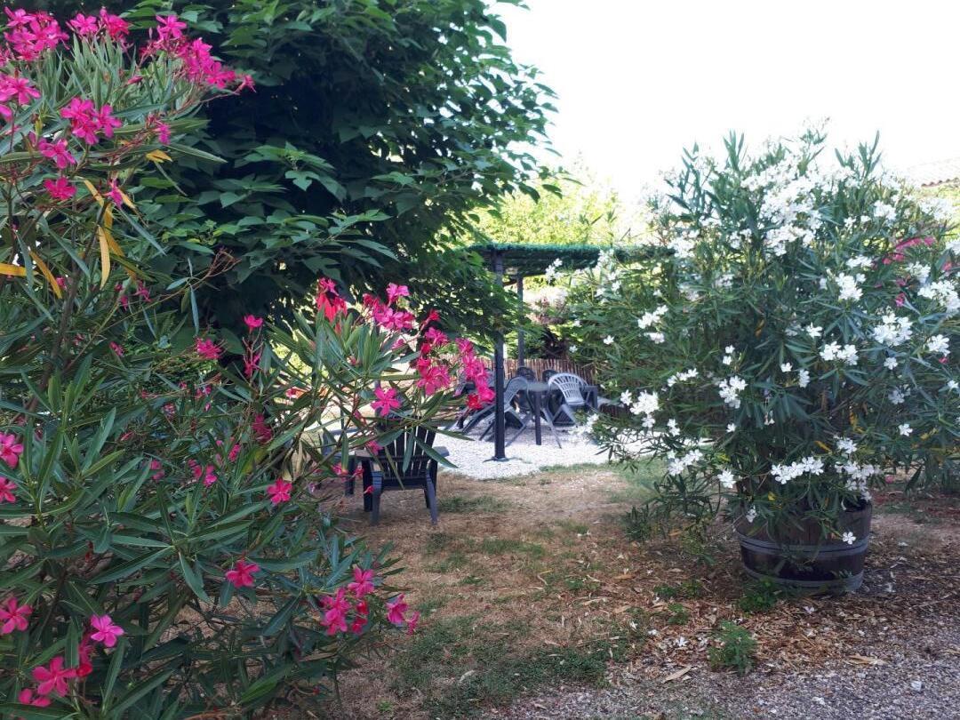 Domaine de la Gravette, Cubnezais - photo 19