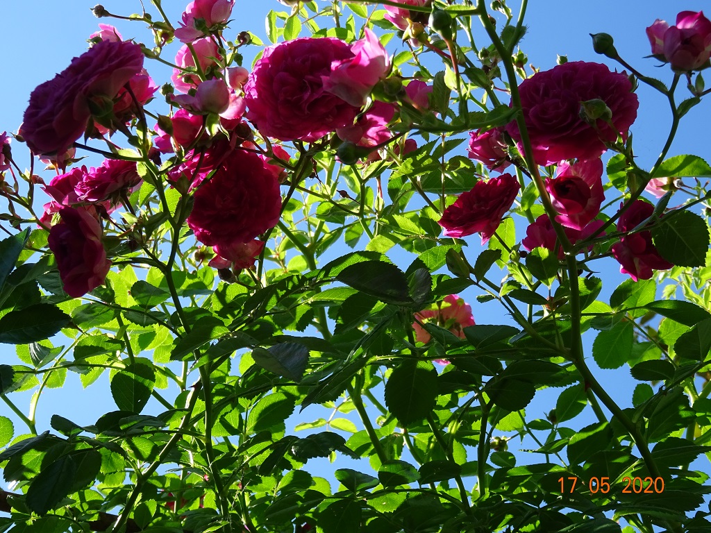 Gîte de la Lande Saint-Jean, Saint-Loubès - photo 3