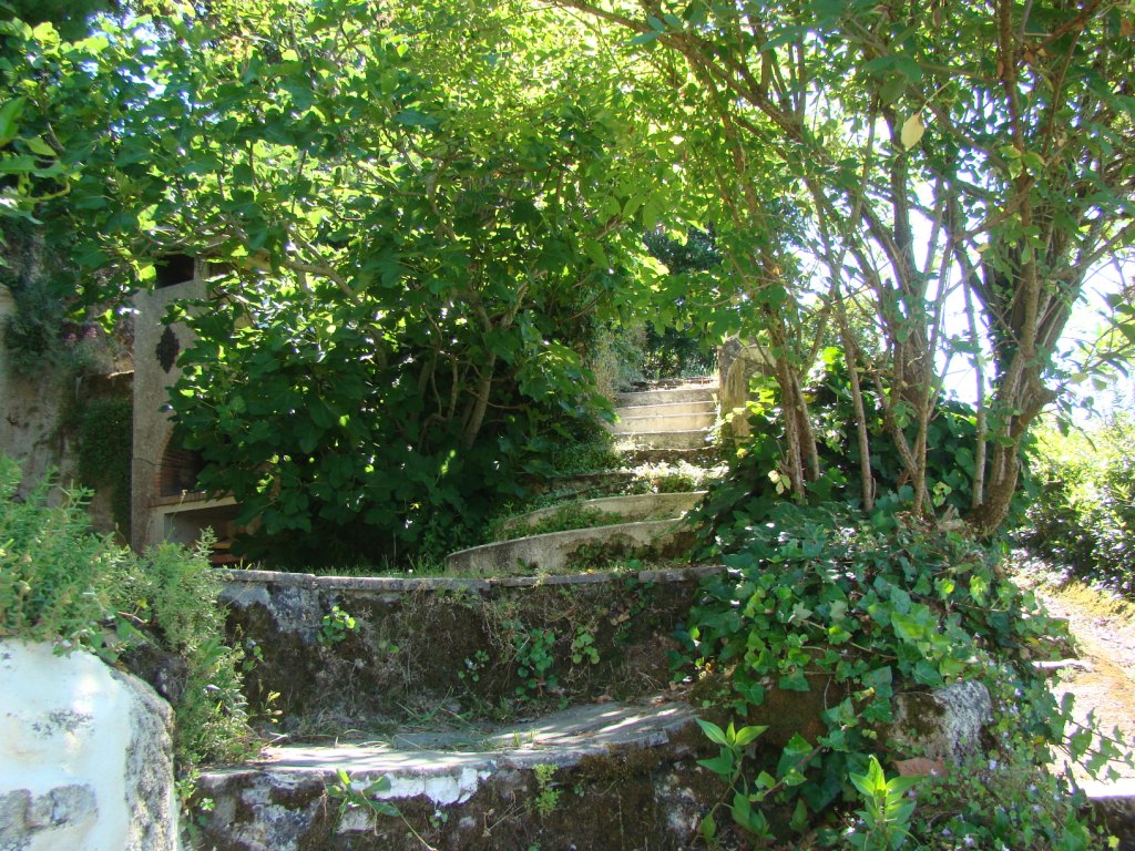 La Falaise, Gauriac - photo 24