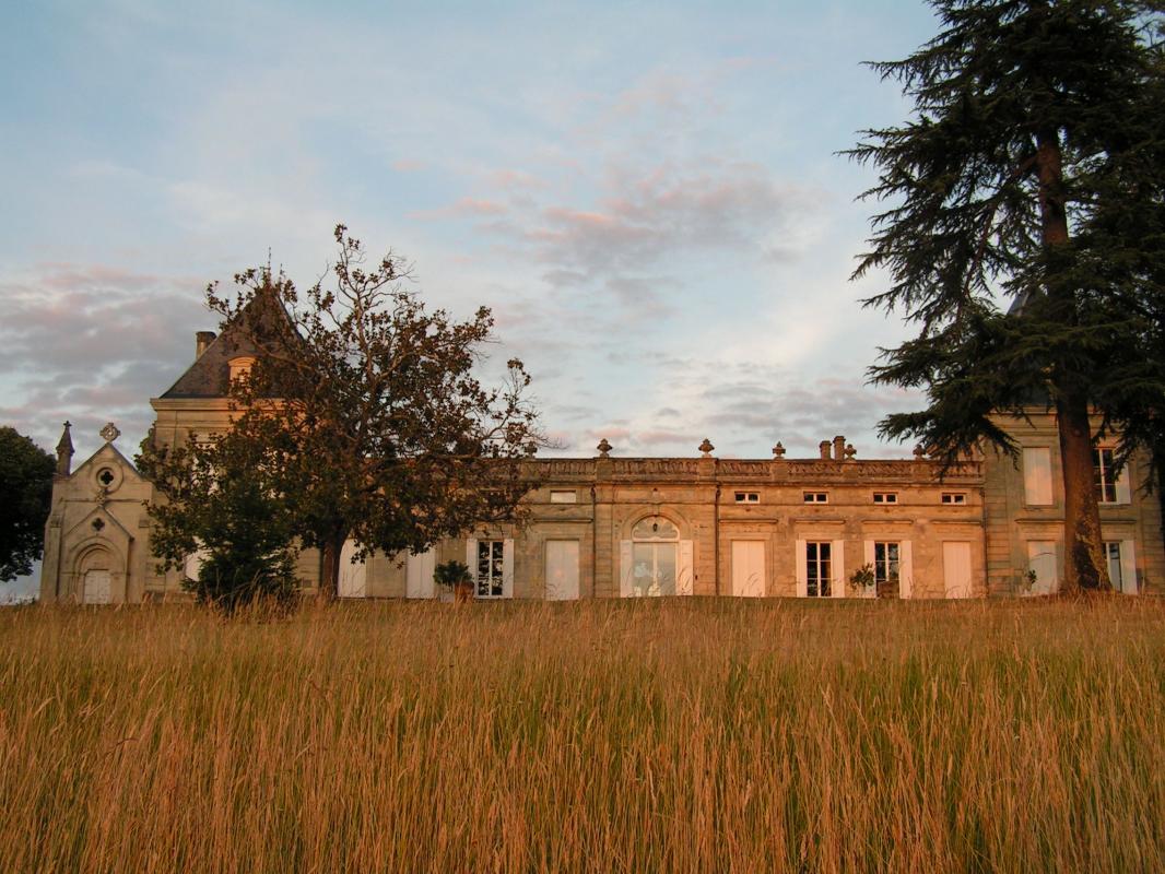Château Malfard - Petit Verdot, Saint-Martin-de-Laye - photo 8