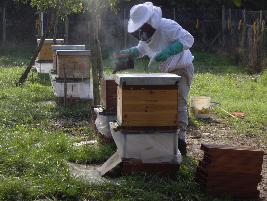 Gîte de la Lande Saint-Jean, Saint-Loubès - photo 14