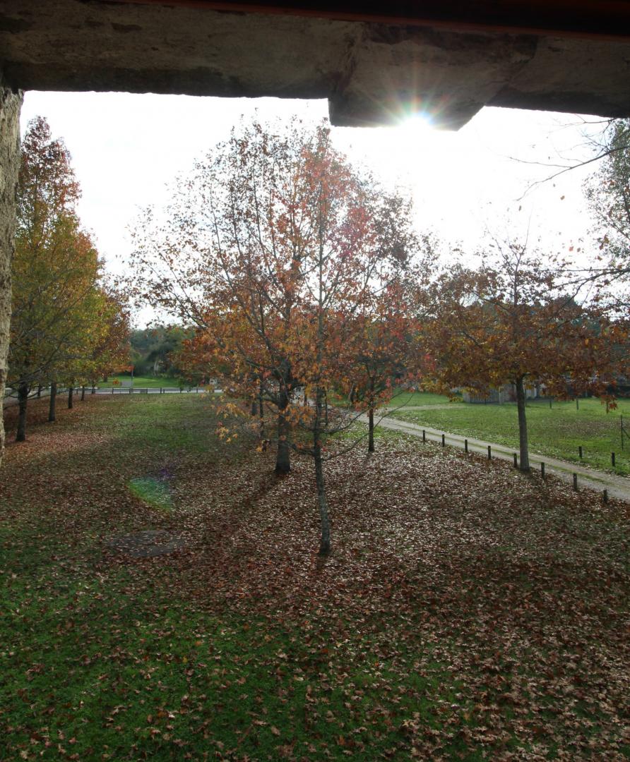 Gîte de la Gare, Uzeste - photo 8