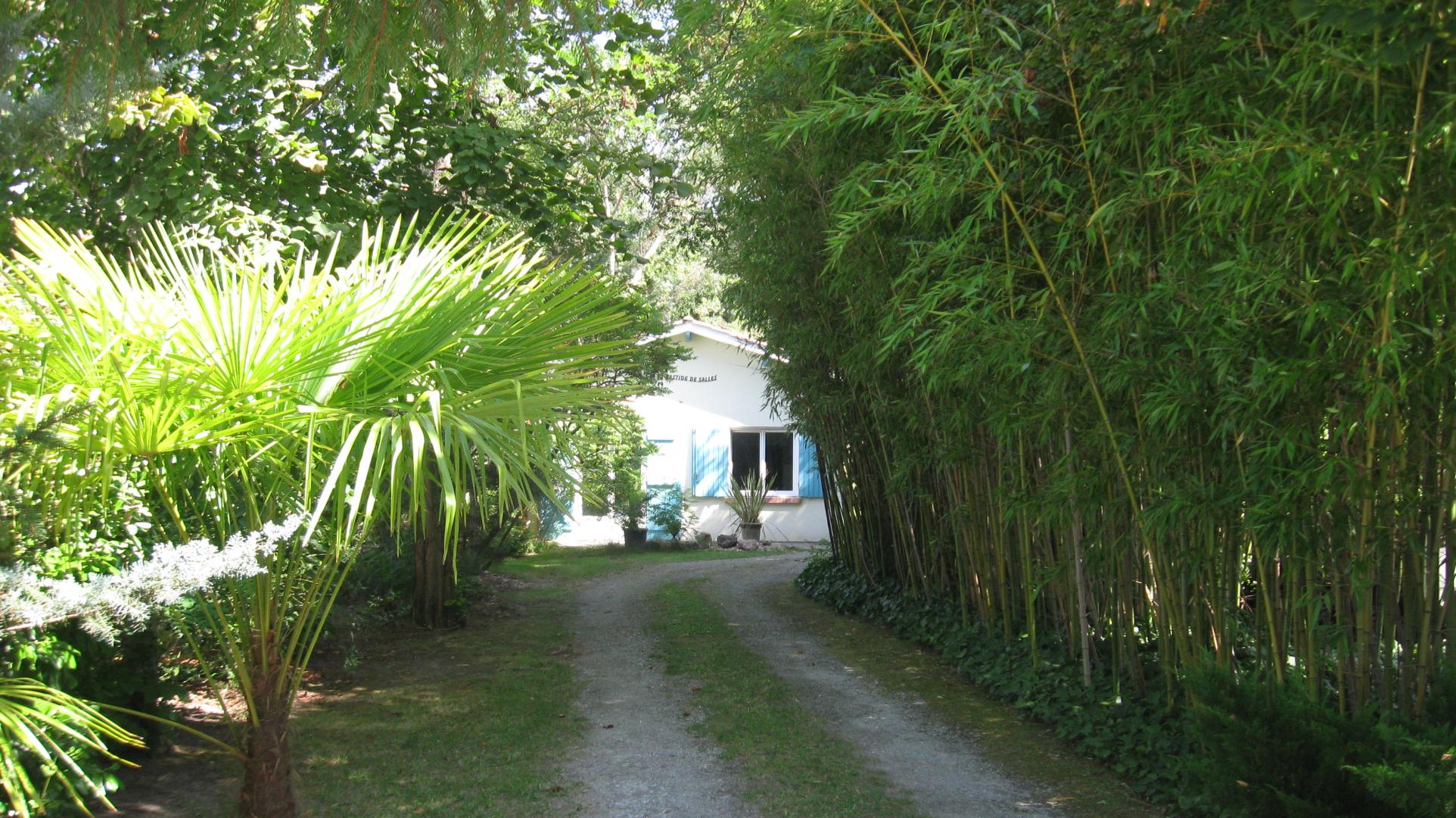 Gîte La Bastide de Salles, Salles - photo 16
